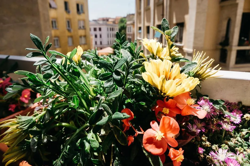 ***** Bed & Breakfast Adriano Augusto Bed and Breakfast Rome Italië