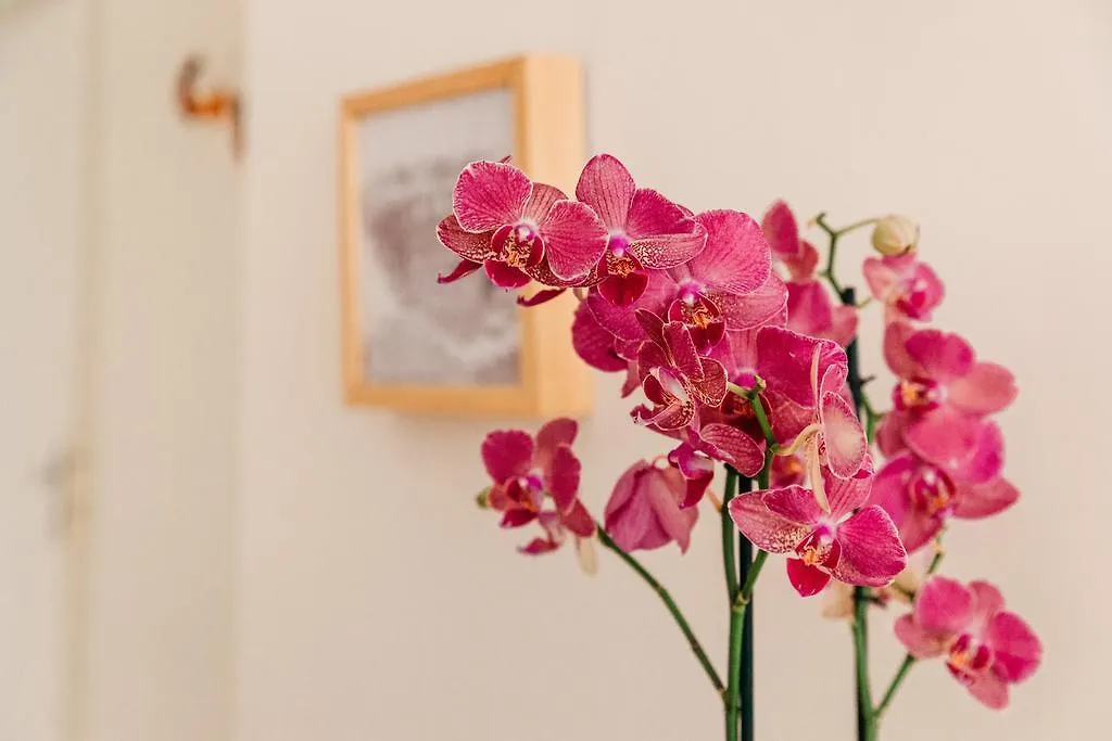 Adriano Augusto Bed and Breakfast Rome Italië